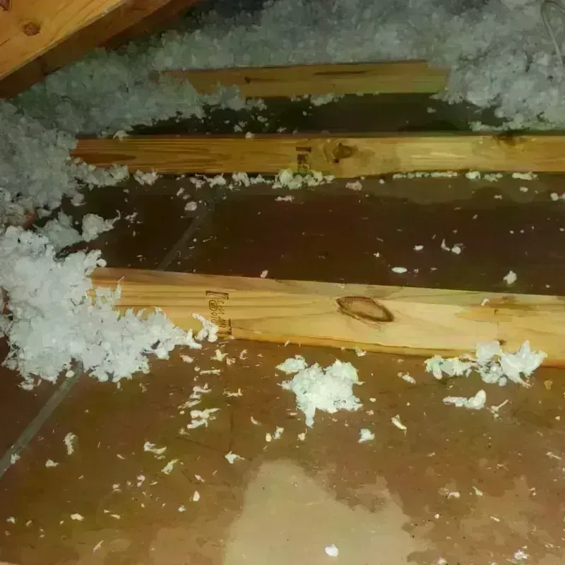 Attic Water Damage in Ralls, TX