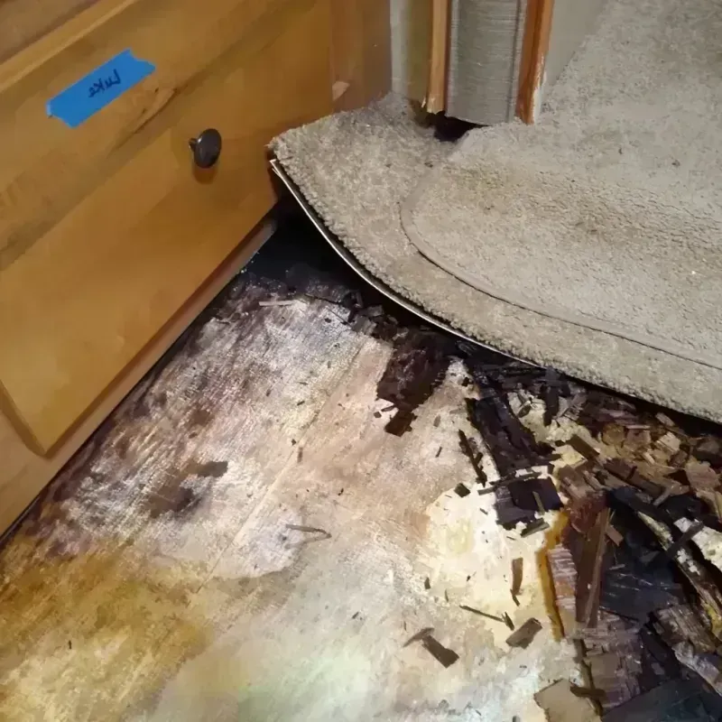 Best Wood Floor Water Damage Service in Ralls, TX